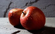 Water forms droplets on a thin film of alkane wax on the skin of the apple.
