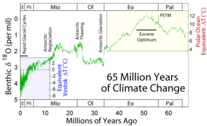 Expansion showing climate change during the last 65 million years.  Note that the scales are not numerically the same since they are based on measurement different types of taxa under different conditions.