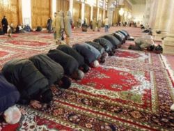 Muslims performing salat (prayer)