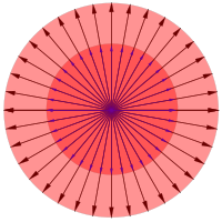 Fig. 3. When a surface is stretching equally in homothety, any one of the radial vectors can be the eigenvector.