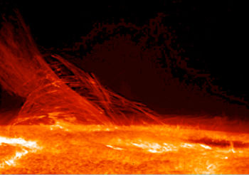 Taken by Hinode's Solar Optical Telescope on January 12, 2007, this image of the Sun reveals the filamentary nature of the plasma connecting regions of different magnetic polarity.