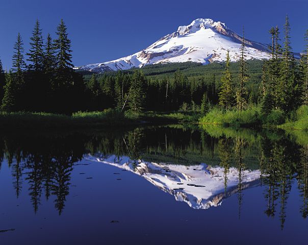 Image:MtHood TrilliumLake.jpg