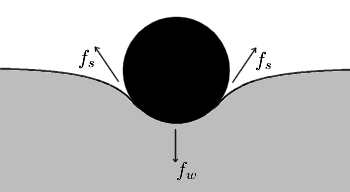 Diagram shows, in crossection, a needle floating on the surface of water. Its weight, , depresses the surface, and is balanced by the surface tension forces on either side, , which are each parallel to the water's surface at the points where it contacts the needle. Notice that the horizontal components of the two  arrows point in opposite directions, so they cancel each other, but the vertical components point in the same direction and therefore add up to balance .