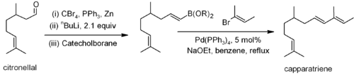 Synthesis of capparatriene using the Suzuki coupling