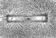 Iron filings that have oriented in the magnetic field produced by a bar magnet
