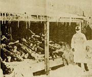 Body disposal at Unit 731, the infamous Japanese biological warfare research unit.