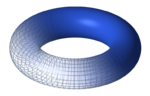 A torus.