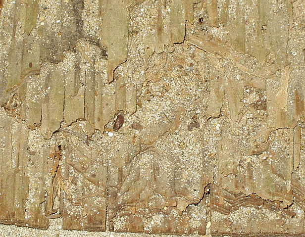Image:Termite damaged wood.jpg