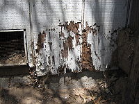 Termite damage on external structure