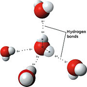 model of hydrogen bonds between molecules of water