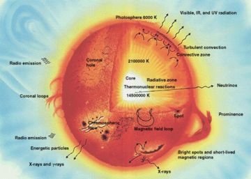 This diagram shows a cross-section of a solar-type star. NASA image