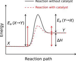 Generic potential energy diagram showing the effect of a catalyst in an hypothetical exothermic chemical reaction. The presence of the catalyst opens a different reaction pathway (shown in red) with a lower activation energy. The final result and the overall thermodynamics are the same.