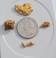 Gold Nuggets found in Arizona