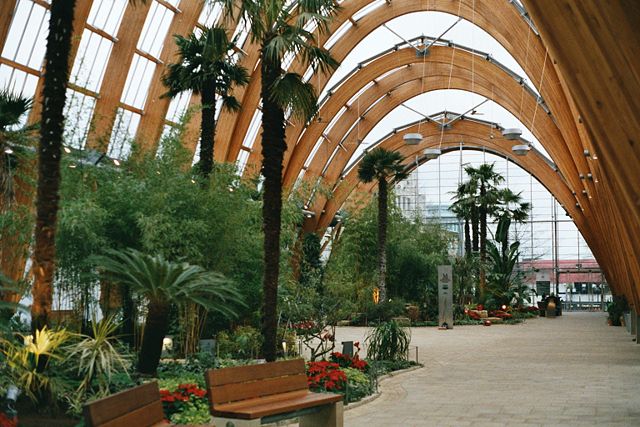 Image:Sheffield Winter Garden1.jpg