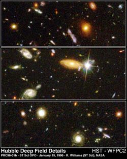 Details from the HDF illustrate the wide variety of galaxy shapes, sizes and colours found in the distant universe.