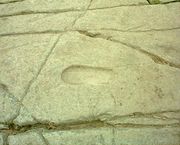 Footprint used in king-making ceremonies, Dunadd