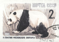 Panda in Moscow Zoo on 1964 Soviet Union 2 kopeks postal stamp