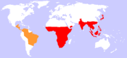 Approximate worldwide distribution of monkeys.