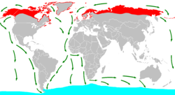 Breeding grounds (red), wintering grounds (blue) and migration routes (green)