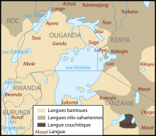 Local languages around lake Victoria