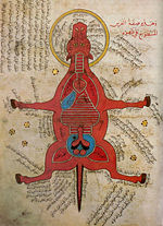 Anatomy of a horse from an Egyptian (Arabic) document (15th century)