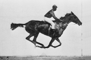 Animated sequence of a race horse galloping. Photos taken by Eadweard Muybridge, first published in 1887 at Philadelphia