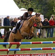 A youth competitor show jumping in Denmark