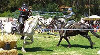 Jousting is a sport that evolved out of heavy cavalry practice