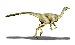 Illustration of a Struthiomimus specimen.