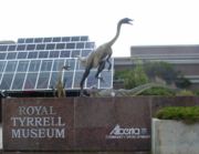 Two model Struthiomimus flee from an Albertosaurus at the entrance to the Royal Tyrrell Museum of Palentology.