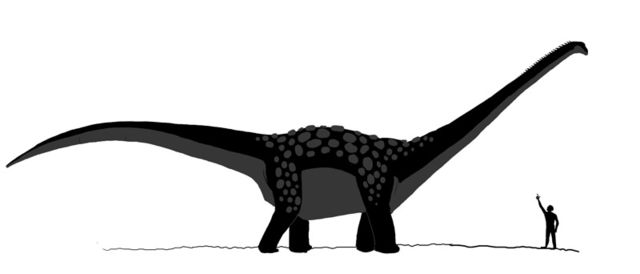 Image:Antarctosaurus dinosaur.jpg