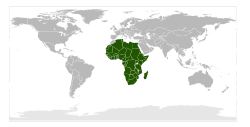 Location of the African Union