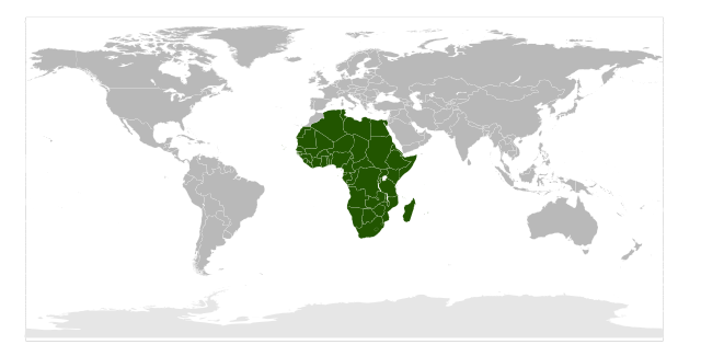 Image:Location of the African Union.svg