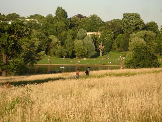 Image:Hampsteadheath1.jpg