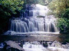 Purakaunui Falls, 17 km (11 mi) southwest of Owaka