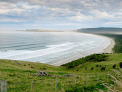 The distant Tautuku Peninsula hosted an early whaling station