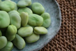 Broad beans, shelled and lightly steamed for 3 minutes.