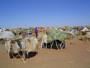 An internally displaced persons camp in Darfur