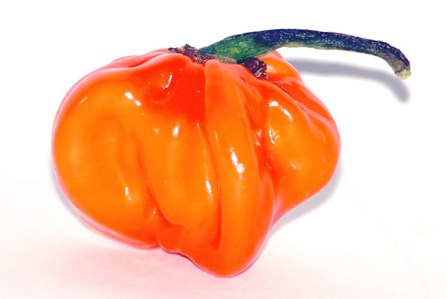 Image:Habanero.jpg