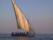 Dhow - modern version of traditional trading ship