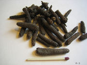 Dried long pepper catkins