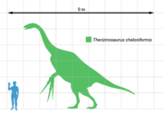 Size comparison Therizinosaurus and a human.