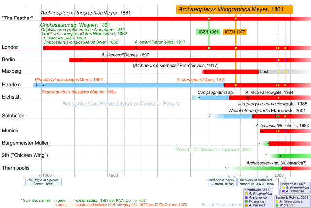 Image:Archaeopteryx timeline.svg