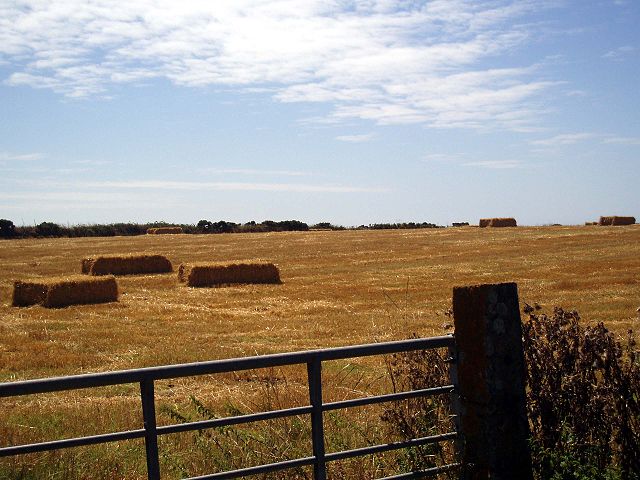 Image:Haybales.JPG