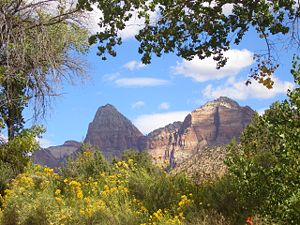 Zion Canyon