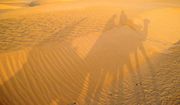 Sahara desert in Tunisia and shadows of camels with travelers