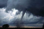 February 20: Tornadoes kill 74 in Mississippi.