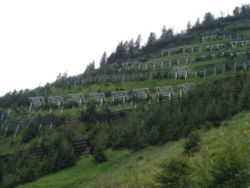 Snow fences in Switzerland