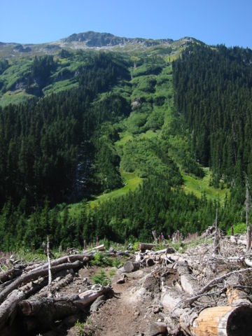 Image:Avalanche path 7271.JPG