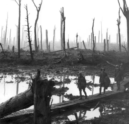 Image:Chateau Wood Ypres 1917.jpg